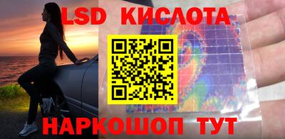 apvp Можга