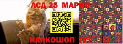 apvp Можга