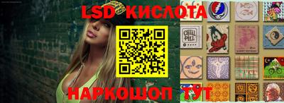 apvp Можга
