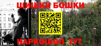 apvp Можга