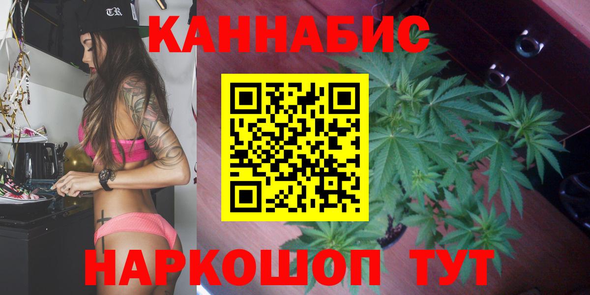 Каннабис OG Kush Вичуга